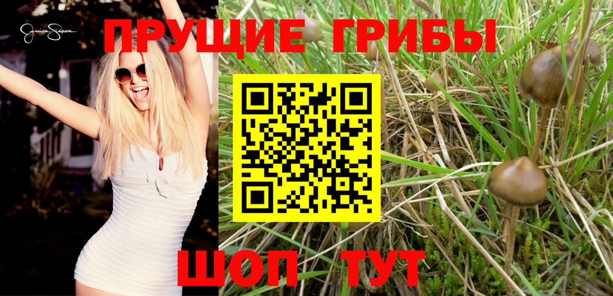 Галлюциногенные грибы Magic Shrooms Архангельск