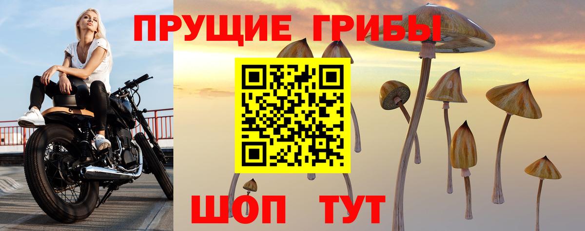 Псилоцибиновые грибы мицелий  Вход с VPN  Архангельск  Галлюциногенные грибы Psilocybe 